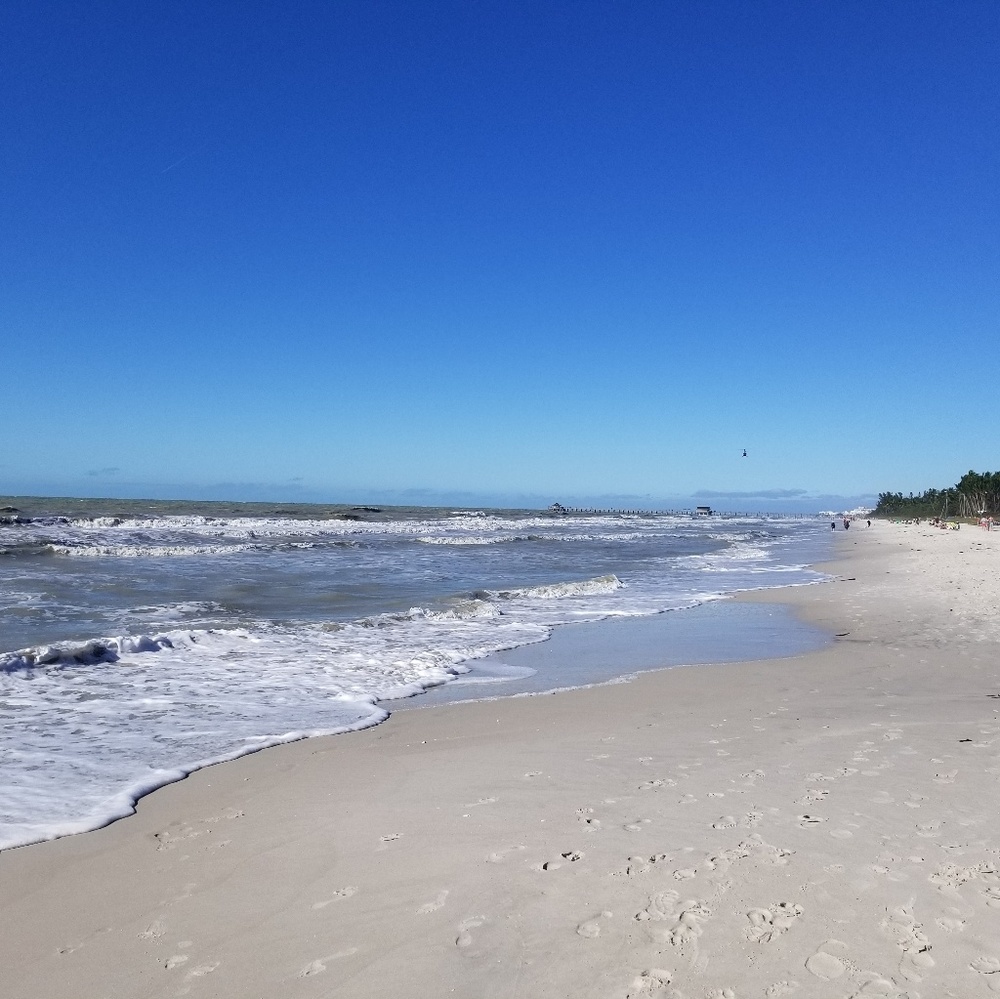 Meet your Posher, Sam